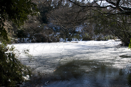 谷戸の池-2.jpg