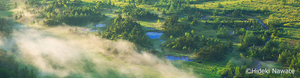 JSPA201406.jpg