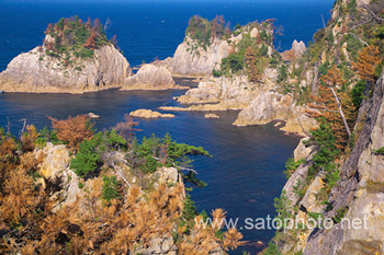 浦富海岸