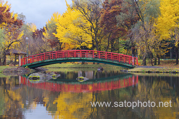 湯沢中央公園